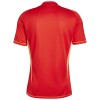Officiële Voetbalshirt Doelman Juventus Thuis 2024-25 - Heren